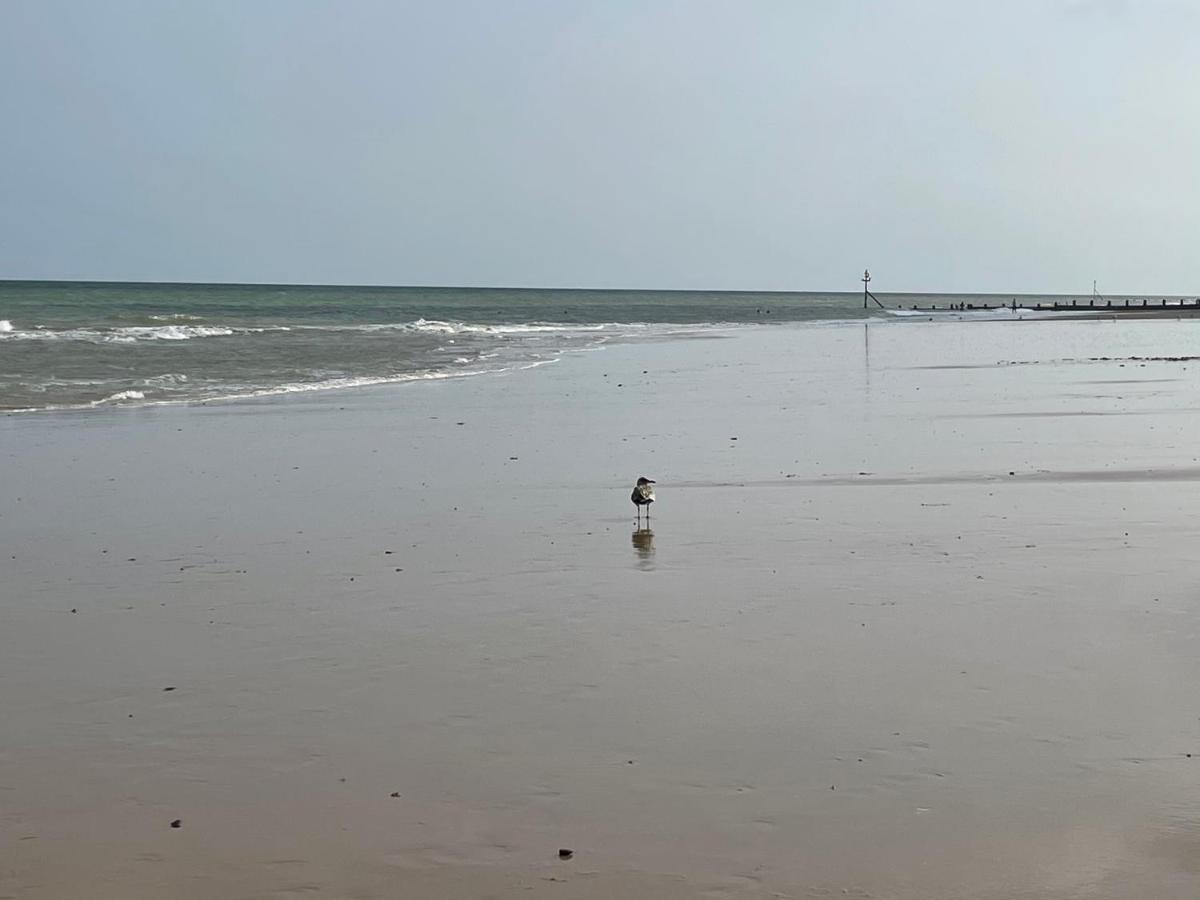 The Beach House - Cromer Bagian luar foto